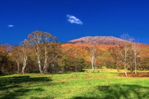 新潟県・妙高市 秋の妙高高原の紅葉の風景